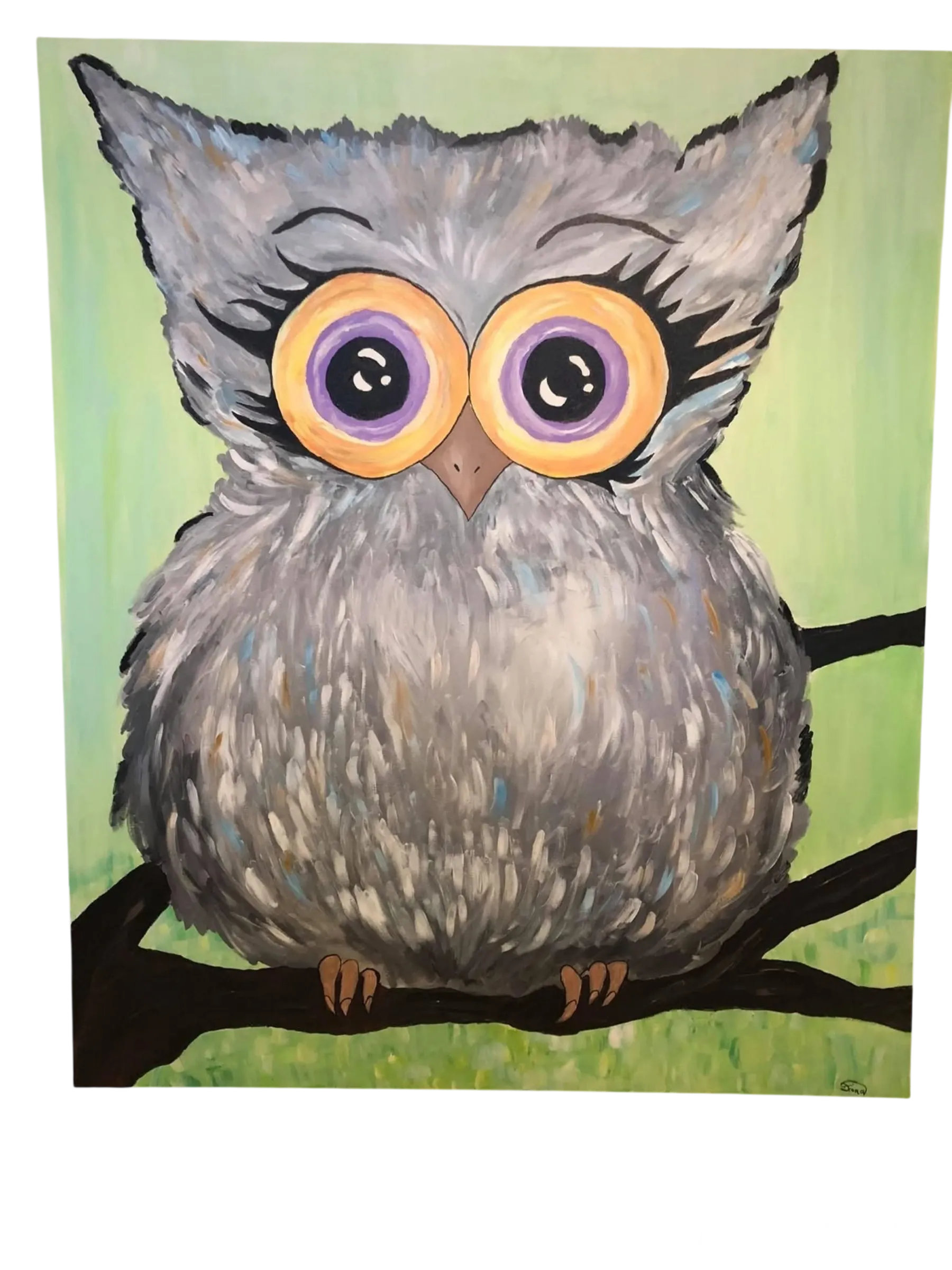 A gray owl portrait