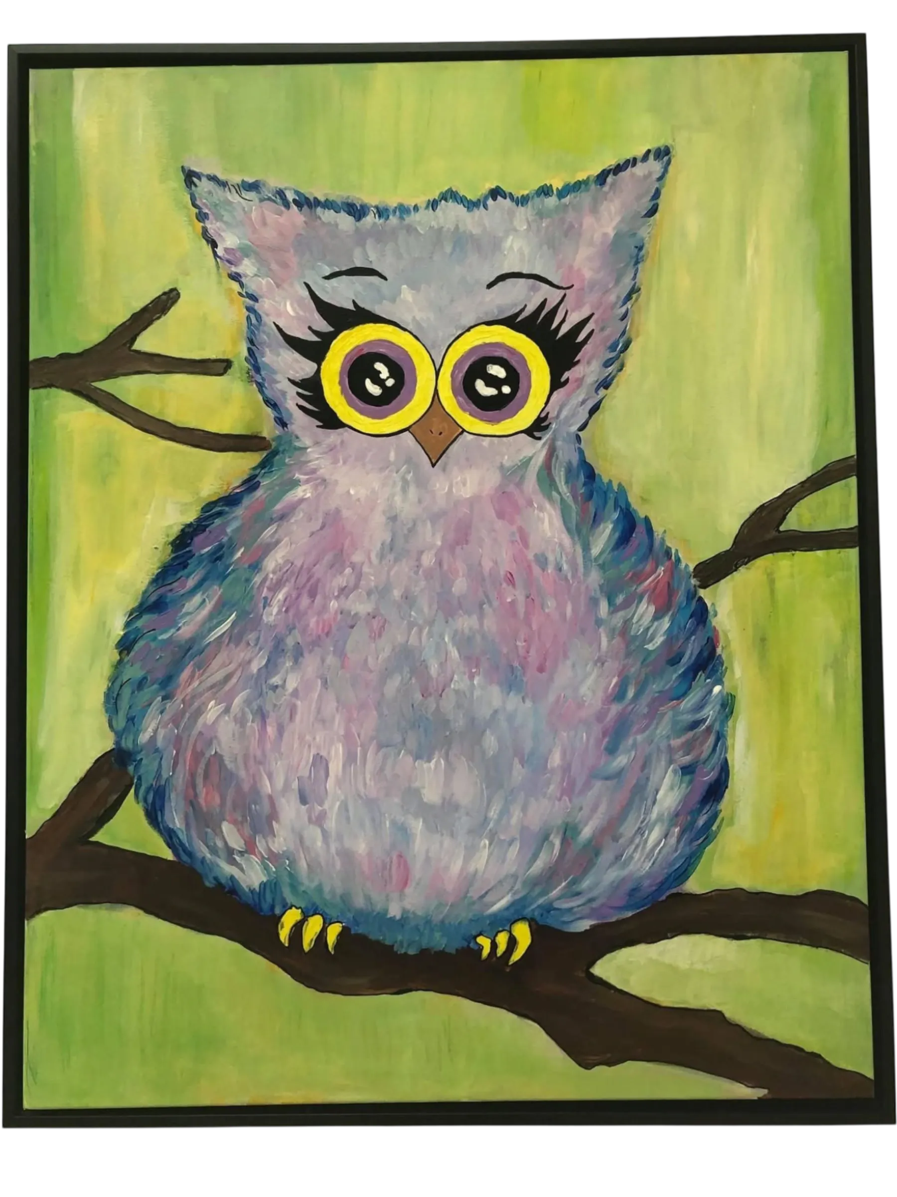 A smaller sky owl study