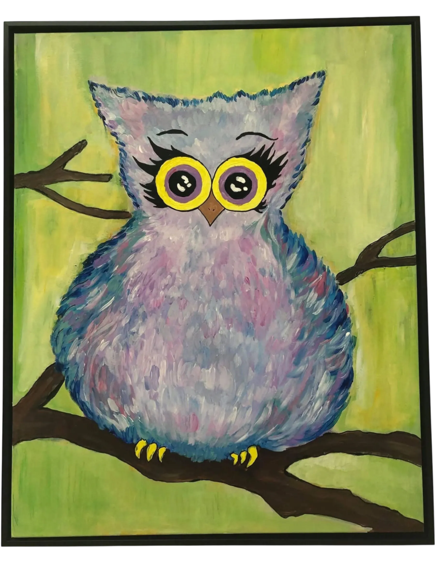 A smaller sky owl study