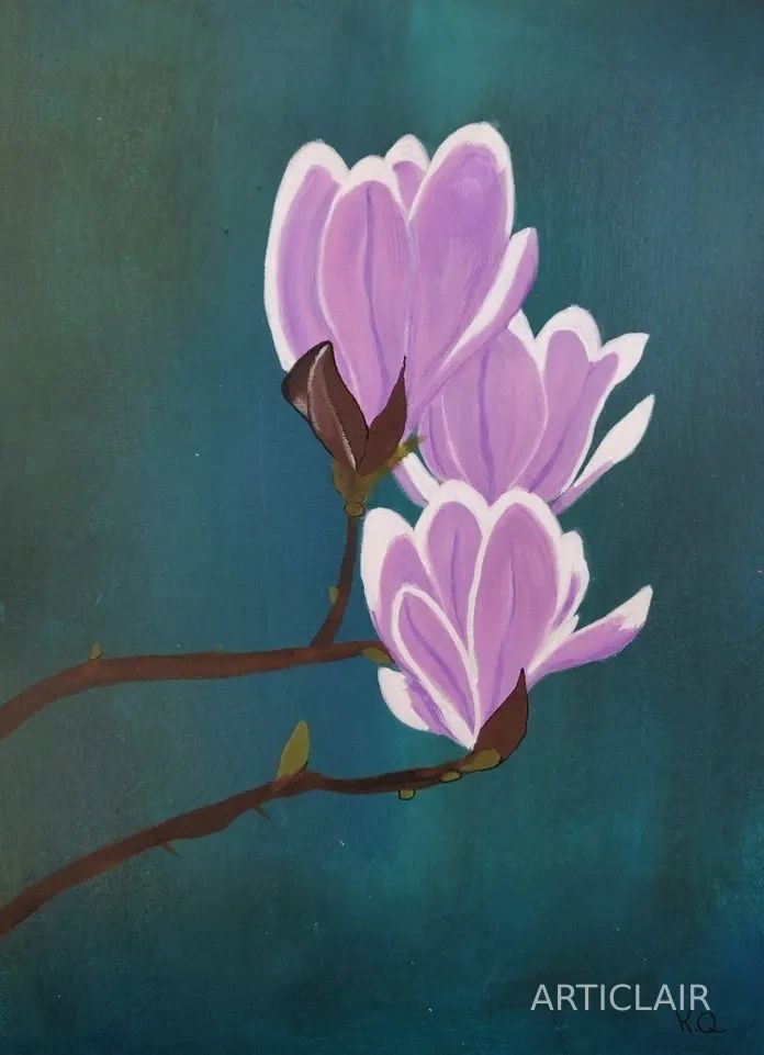 Pink and white magnolia blossoms on a branch against a deep teal background